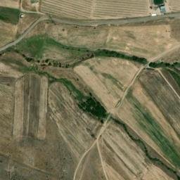 Satellite imagery of Aramusi Dik’, AM