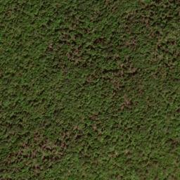Satellite imagery of Amberson Ridge, US