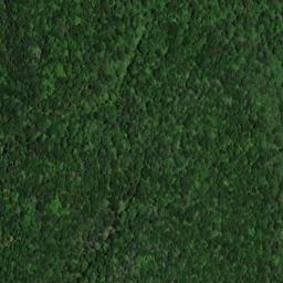 Satellite imagery of Saddle Back Ridge, US