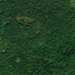 Satellite imagery of Branson Ridge, US