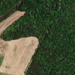 Satellite imagery of Saddle Back Ridge, US