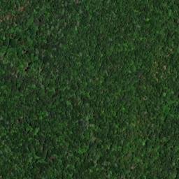 Satellite imagery of Saddle Back Ridge, US