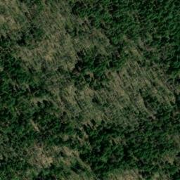 Satellite imagery of Buck Ridge, US