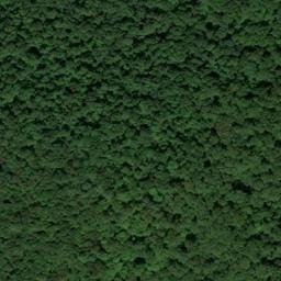 Satellite imagery of Millers Point, US