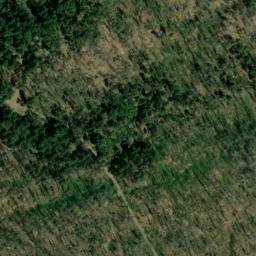 Satellite imagery of Buck Ridge, US