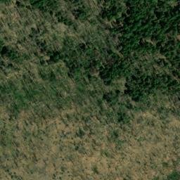 Satellite imagery of Buck Ridge, US