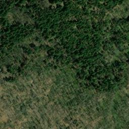 Satellite imagery of Buck Ridge, US
