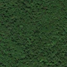 Satellite imagery of Millers Point, US