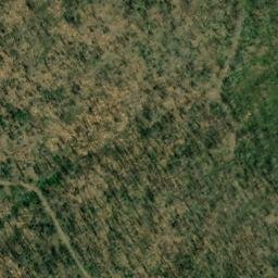 Satellite imagery of Buck Ridge, US