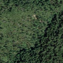 Satellite imagery of Tan Oak Ridge, US