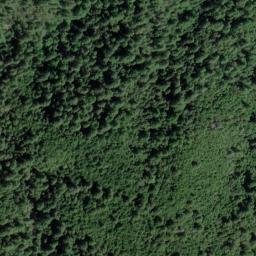 Satellite imagery of Tan Oak Ridge, US