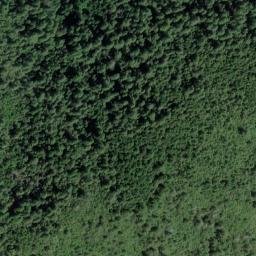 Satellite imagery of Tan Oak Ridge, US