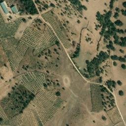 Satellite imagery of survey_point, ES