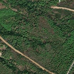 Satellite imagery of Palamut Burnu, TR