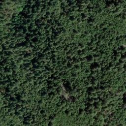 Satellite imagery of Tan Oak Ridge, US