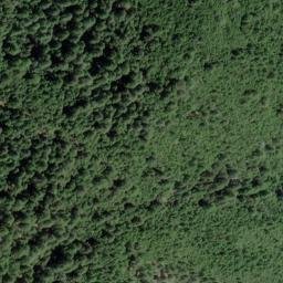 Satellite imagery of Tan Oak Ridge, US