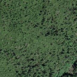 Satellite imagery of Tan Oak Ridge, US