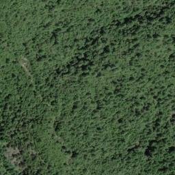 Satellite imagery of Bearwallow Ridge, US