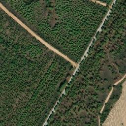 Satellite imagery of Palamut Burnu, TR