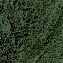 Satellite imagery of Tan Oak Ridge, US