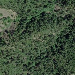 Satellite imagery of Tan Oak Ridge, US