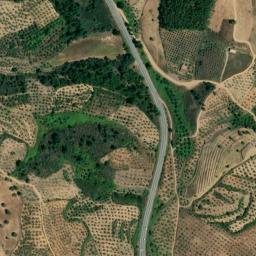 Satellite imagery of survey_point, PT