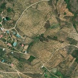 Satellite imagery of survey_point, PT