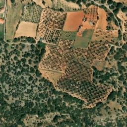 Satellite imagery of survey_point, ES
