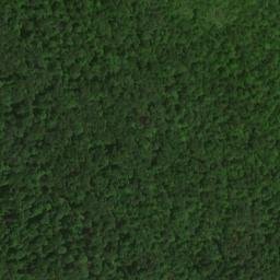 Satellite imagery of Wolf Rocks, US