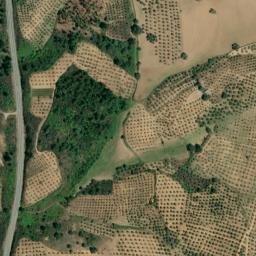 Satellite imagery of survey_point, PT
