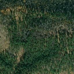 Satellite imagery of Forgay Point, US
