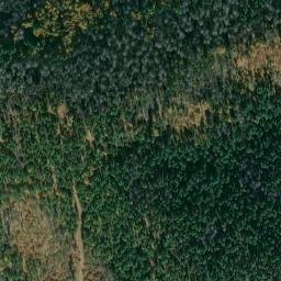 Satellite imagery of Forgay Point, US