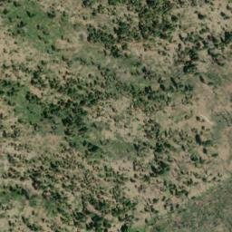 Satellite imagery of Dead Puppy Ridge, US