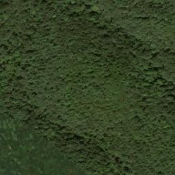Satellite imagery of Lemnus Ridge, US