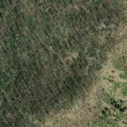 Satellite imagery of Dead Puppy Ridge, US