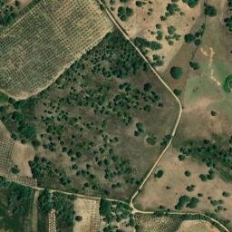 Satellite imagery of survey_point, PT