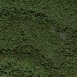 Satellite imagery of Lemnus Ridge, US