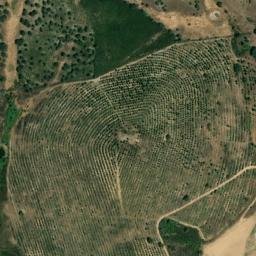 Satellite imagery of survey_point, PT