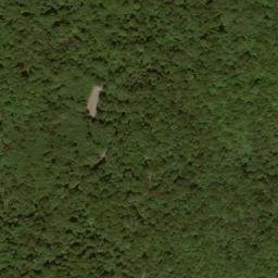 Satellite imagery of Childers Ridge, US
