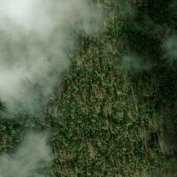 Satellite imagery of Taylor Diggings, US