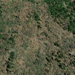 Satellite imagery of Buck Ridge, US