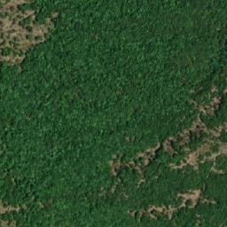Satellite imagery of Niso, AL