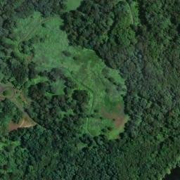 Satellite imagery of Logan Point, US