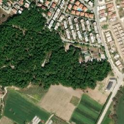 Satellite imagery of Kumbağı Burnu, TR