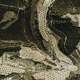 Satellite imagery of survey_point, ES