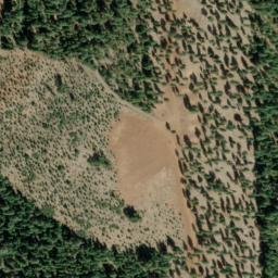 Satellite imagery of Carpenter Ridge, US
