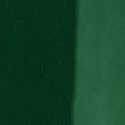 Satellite imagery of Cedar Point, US