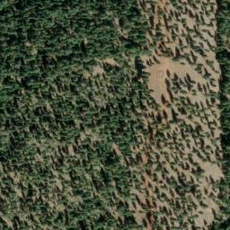 Satellite imagery of Carpenter Ridge, US