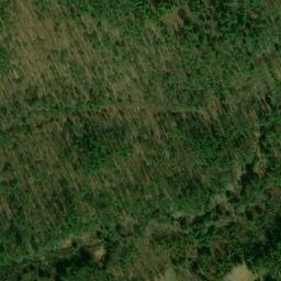 Satellite imagery of Duvall Ridge, US