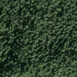 Satellite imagery of Hartsook Giant, US